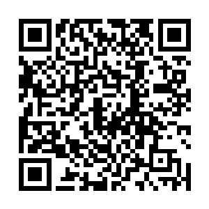苏落既心疼又恼怒的瞪着塌上因失血过多而苍白的容颜二维码生成