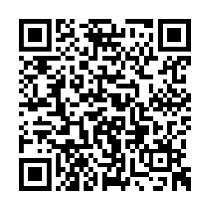 苏落能够清晰地感觉到指尖碰触间触电般的炙热二维码生成