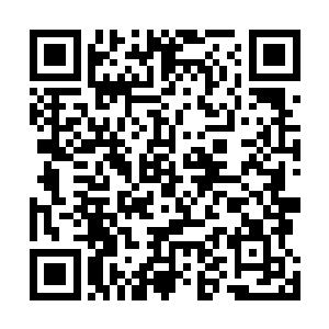 苏轼勒紧了脖领子两个人找了很多竹子都没有找到合适的二维码生成