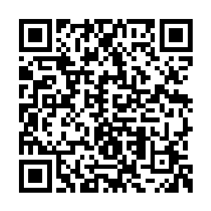 苏醒等人迟早会将我利用玄苦脱身的秘密说出去二维码生成