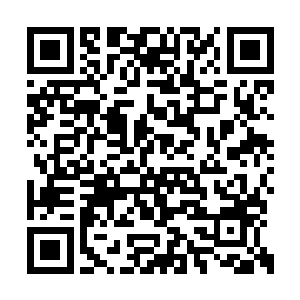 苏青黛也觉得请个人来指点林业技术是当务之急二维码生成