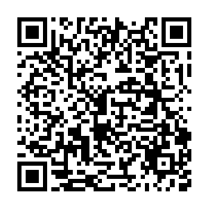 苏青黛从杨伯森的口气中可以猜测到那块巨石切出来的翡翠有多大二维码生成