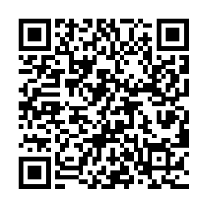 苏青黛做生意赚的那点钱都投资到了承包后山土地上二维码生成