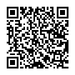 苏青黛又去市里买了五套小升初的模拟题回来给苏青城模拟考试二维码生成