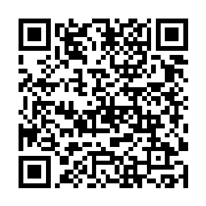 苗毅也无心再召集大家当场公布什么任命刺激其他人二维码生成