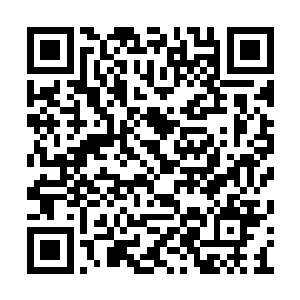 苗毅发现这厮能开口说话后活脱脱就是一个贱人二维码生成