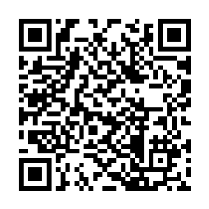 苗毅和战如意率领麾下回到了黑龙司的驻扎地复命二维码生成