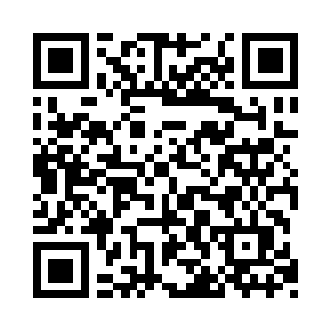苗毅落入了一片拥有十几株椰子树的椰林中二维码生成