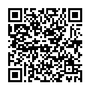 若不是大白护的结实凤小熊的脑袋只怕要被咬掉了二维码生成