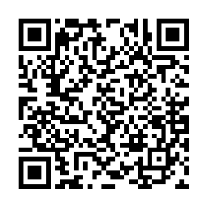 若不是某人一场铁血手段拿了几百万颗人头作警告二维码生成