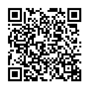 若只是一两发子弹中释放出来的麻醉气体到也没有什么二维码生成