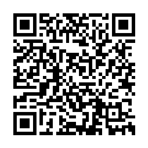 若是他们知晓你已经是叶族所有普通弟子的第一二维码生成