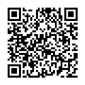 若是其他人知道此时两位炎角前任首领心中所想二维码生成