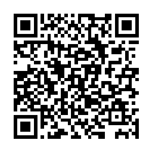 若是到时候苏青黛和赵世宁真的被蒋清清破坏掉了二维码生成