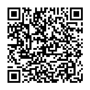 若是大晋国那些自以为了不起的天才知道北都学府一个小厮都可能比他们还强二维码生成