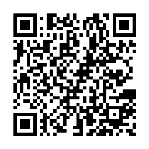 若是方才老者对夜染有出现丝毫杀人灭口的心思二维码生成