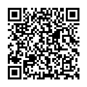 若是没有上午的那一场萧易和张伯涛的比赛的话二维码生成