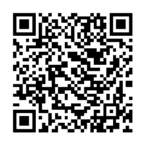 若是诸葛谨言敢利用阿九……陆阎王的眸光冷得似冰二维码生成