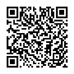 若是辛苦好不容易找到的最后一个帮手也投入到大王子麾下二维码生成