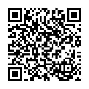 若是这大白鱼能因为今日补充到大量的蓝色晶体能量二维码生成