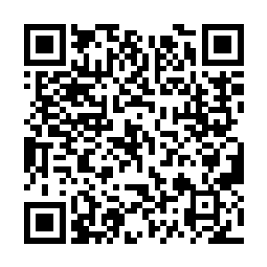 若是那人走进发现院门那些被被点住的家僮就遭了二维码生成