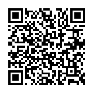 若是那心魔再怀着难以揣度的古怪心思插入一脚二维码生成