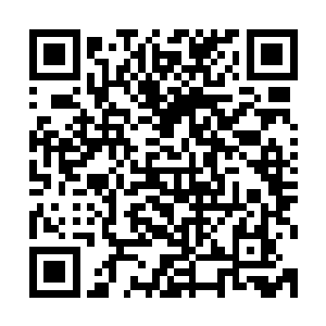 英文字母全拼关注即可在微信上阅读本小说♂手^机^用户登陆二维码生成