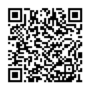 范晋脸色狰狞的将一个年轻的半步武帝毙于掌下二维码生成