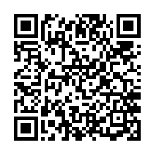 范筱梵激发大招时的面容再一次在张潇晗脑海里略过二维码生成