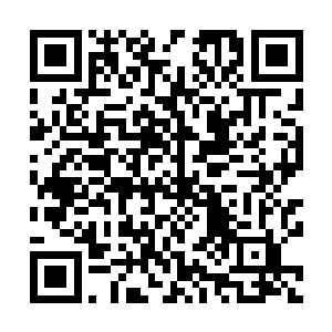 荀离恰恰处于离开庆国学宫而zhunbèi前往圣院的过渡阶段二维码生成