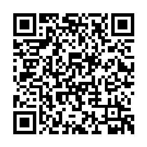 莫秋声知道殷如梦已经把今天发生的事传回家族二维码生成