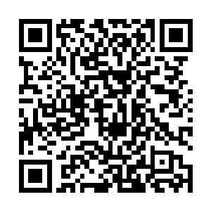 莫非夏云杰一介金仙真的有威胁到毗那夜迦的恐怖实力二维码生成