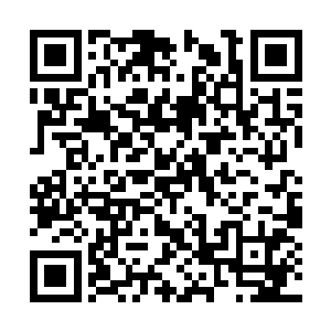 莫非是被他们的幸福甜蜜刺激得失去了所有的理智二维码生成