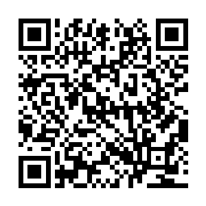 莫非重新凝炼黄庭元神和紫府元神还需要什么引子二维码生成