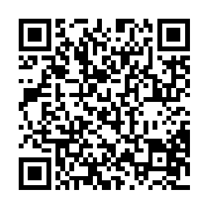 获得的魔法知识和武技技能也会对基础属性造成反作用二维码生成