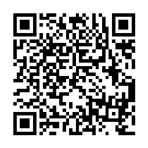 莺莺燕燕们争先恐后地扑向那些看起来财大气粗的冒险者们二维码生成