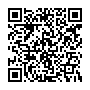 菜菜子硬是将猴子尸兄的脑袋连头骨都咀嚼碎了二维码生成