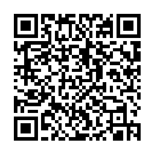 萝拉当初在忽悠水手们反叛的时候曾经提到过这个名字二维码生成