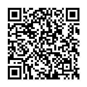 萧晨原先去过的那一片只有黑白二色的苦海之地二维码生成