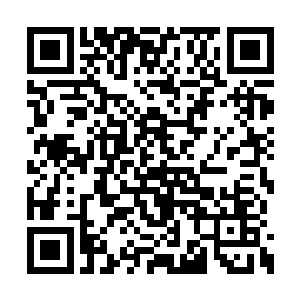 萧言他们也假装不知道他们现在举动接近于把持二维码生成