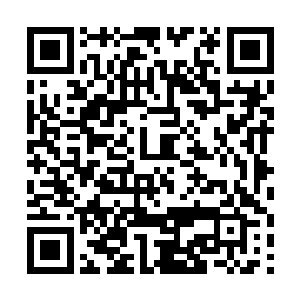 萧韵儿借着这光芒朝着不断朝他们攻击来的触角砍杀二维码生成