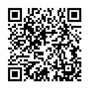 萧韵儿看着手上只剩下的灰内心还是稍稍颤抖了下二维码生成