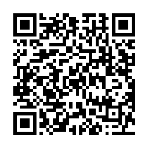 落不凡对落削雪这个长辈尊重和敬意随着他的是非不分二维码生成