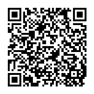 落削雪万万没想到那些蝼蚁之辈竟然为了白晶灵石和千年血参对他动手二维码生成