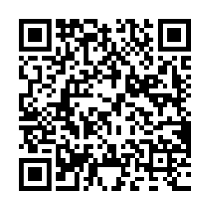 落稳后立刻用没什么力道的小绒翅抽打柳昔卿的额头道二维码生成
