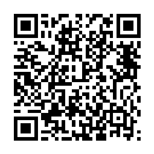 葬神渊的这三位太上境强者全都从九天之上跌落下来二维码生成