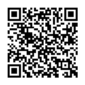 蒙卡和他妹妹这一次算是亲眼见到了夏天的本事二维码生成