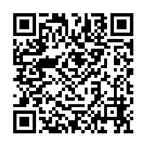 蓝玲珑也的确没有伤害过任何一个社稷学府学子二维码生成