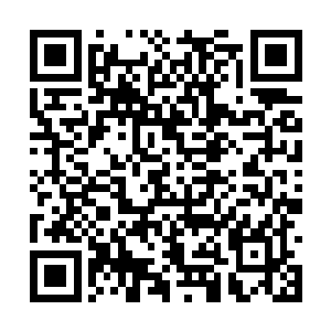 蓝珂站在房门抬手准备敲门的时候忽然想到了什么二维码生成