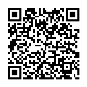 蓝符隆平竟然对楚枫以及折磨他的妖女施以一礼二维码生成